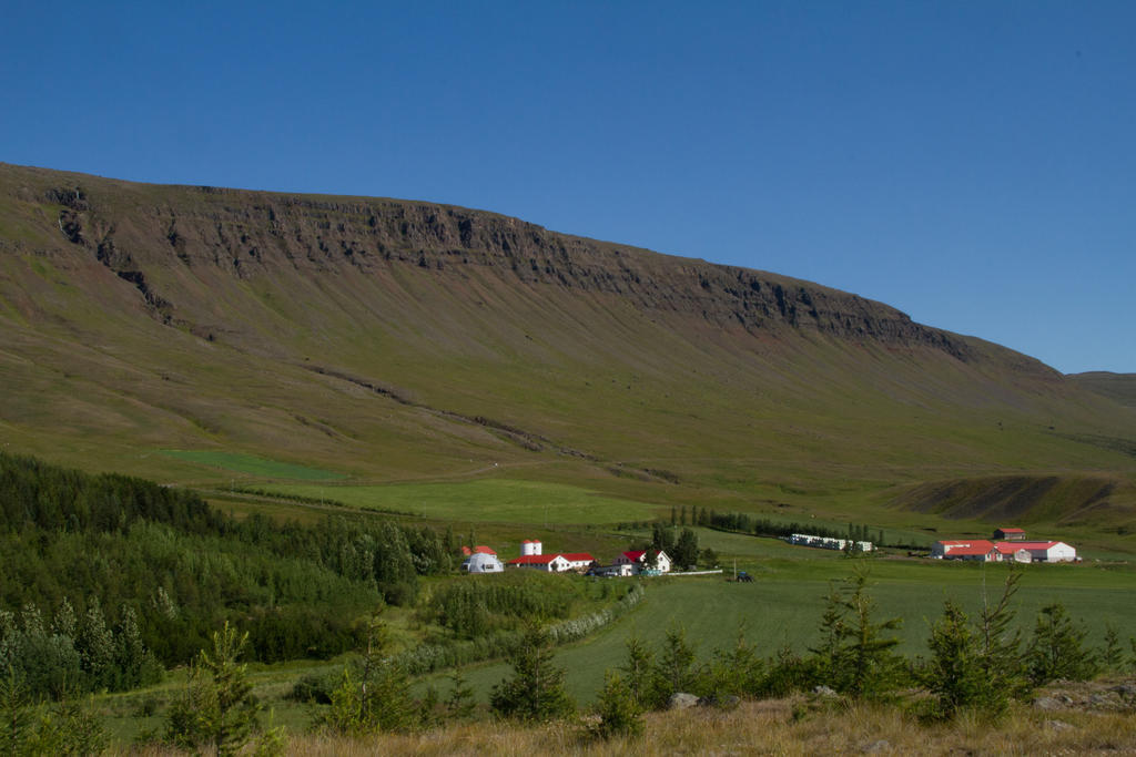 Guesthouse Hof In Vatnsdalur Hof i Vatnsdal Exterior photo